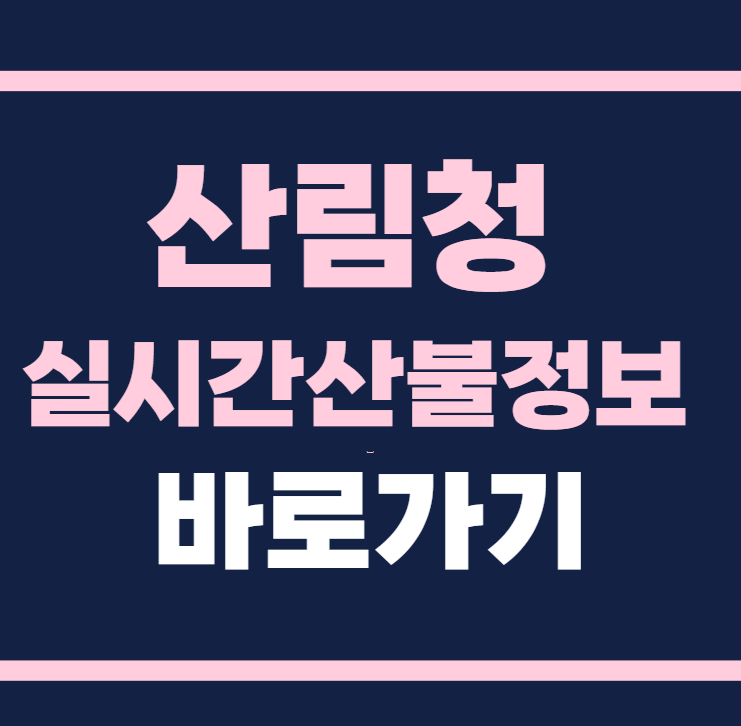 산림청 실시간 산불정보 바로보기