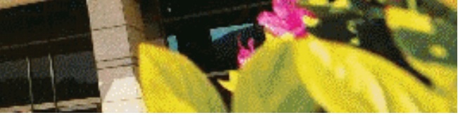 부산종합버스터미널