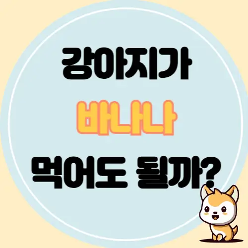 강아지 바나나 먹어도 될까? 장점과 주의사항