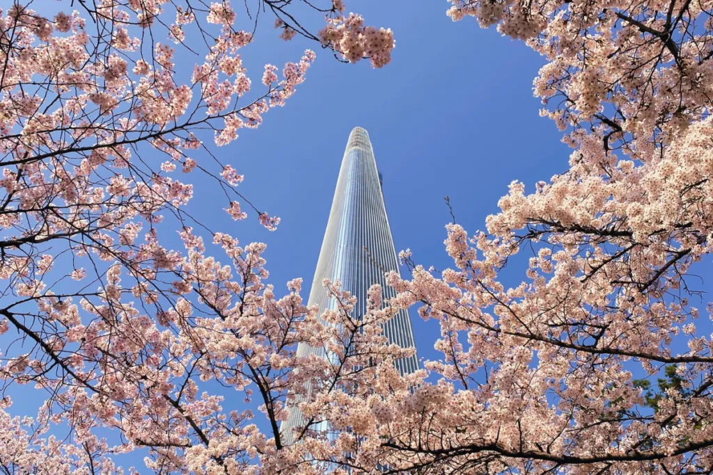 서울 벚꽃 명소 추천 베스트10_3