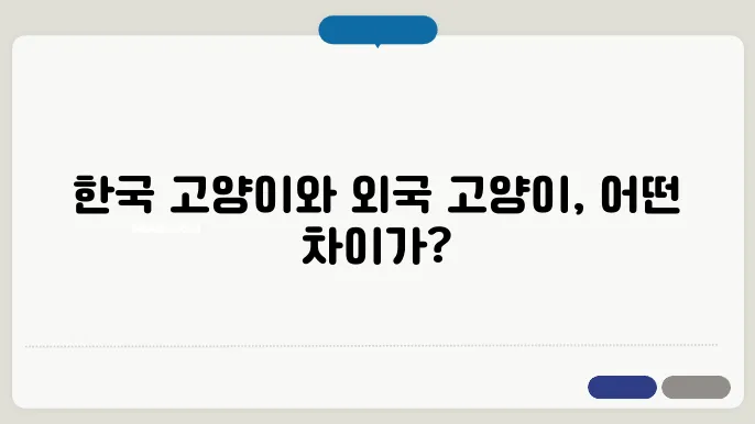 한국 고양이 vs 외국 고양이, 성격 & 특징 비교 분석 6가지 포인트