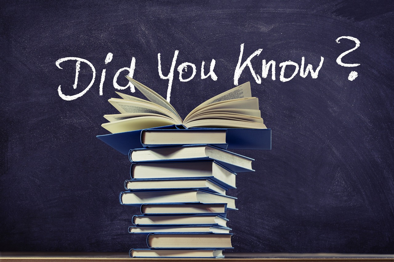 책과 관련된 이미지