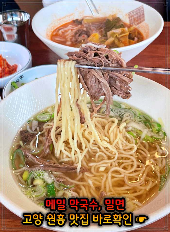 고양 삼송 원흥 맛집 메밀막국수&#44; 밀면