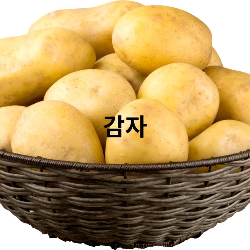 아침 공복에 먹으면 좋은 음식