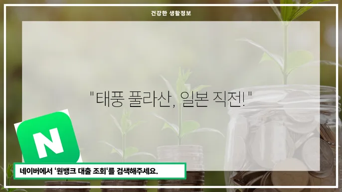 14호 태풍 풀라산의 현황