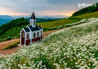 평창 가볼만한곳 베스트10 완벽 자연 여행_23