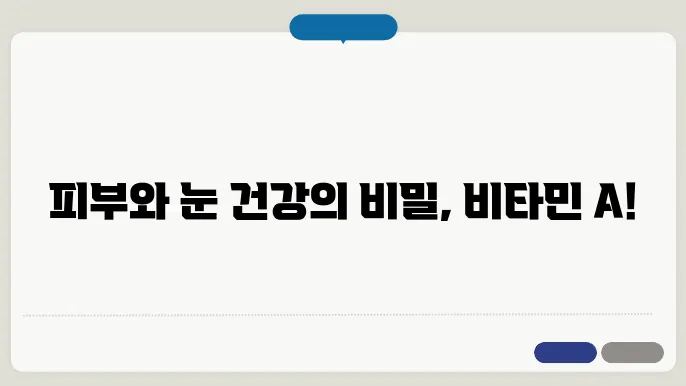 비타민 A 효능 및 효과