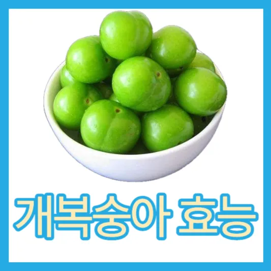 진짜 돌복숭아 개복숭아 효능 칼로리 부작용 개복숭아 효소 효능