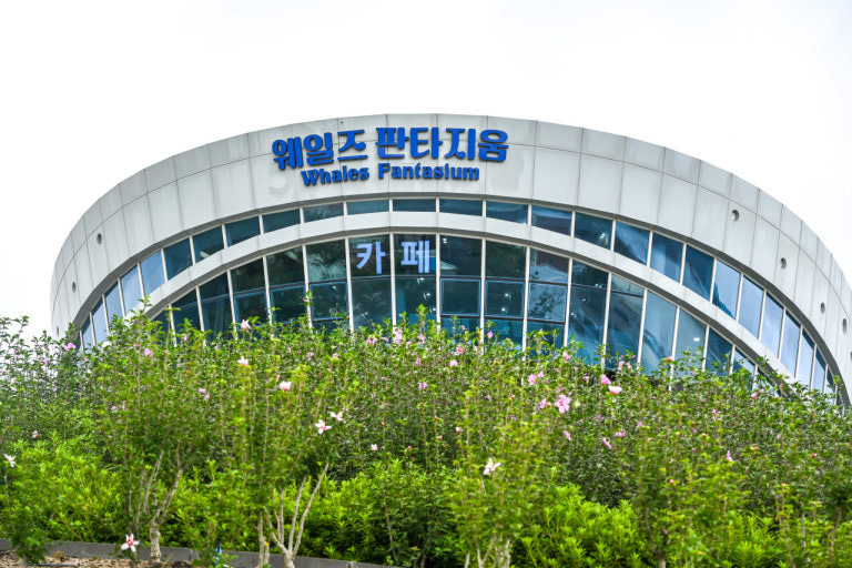 울산 프로야구단 창단 감독 단장 후보 누구?