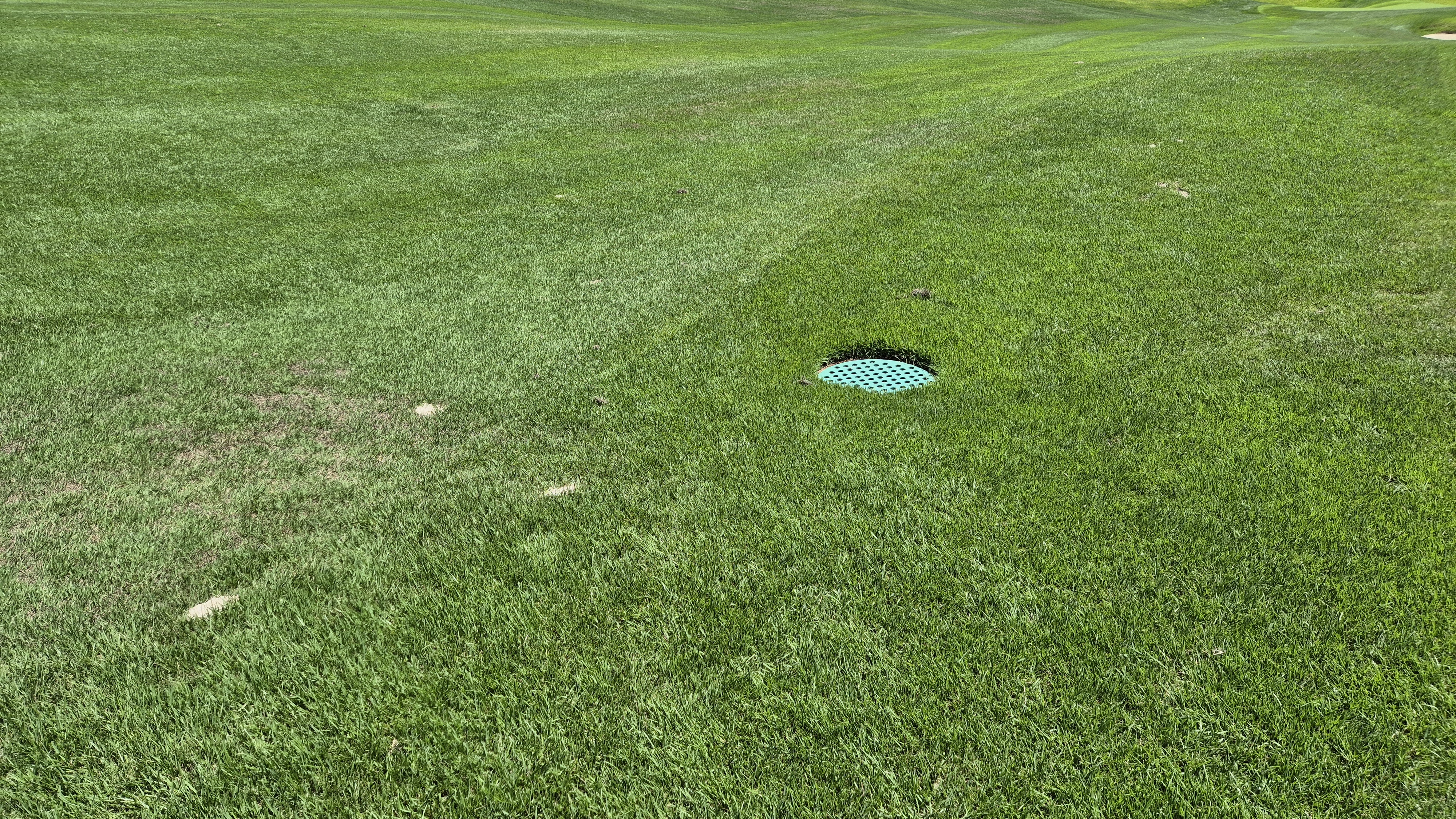 SG 아름다운cc 라운드 후기