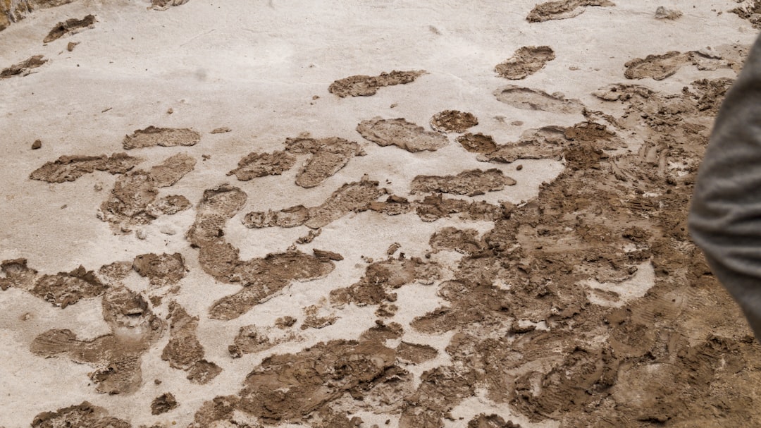 Mud