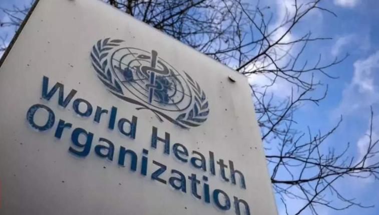 WHO-세계보건기구