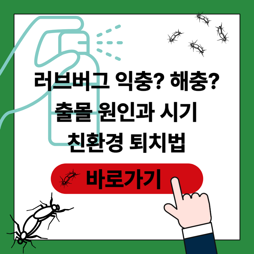 러브버그 출몰 원인 포스팅 썸네일