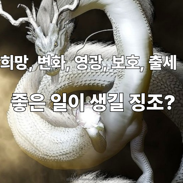 하얀 용이 꿈에 나타났다면? 대운이 찾아오는 길몽 모음🌿