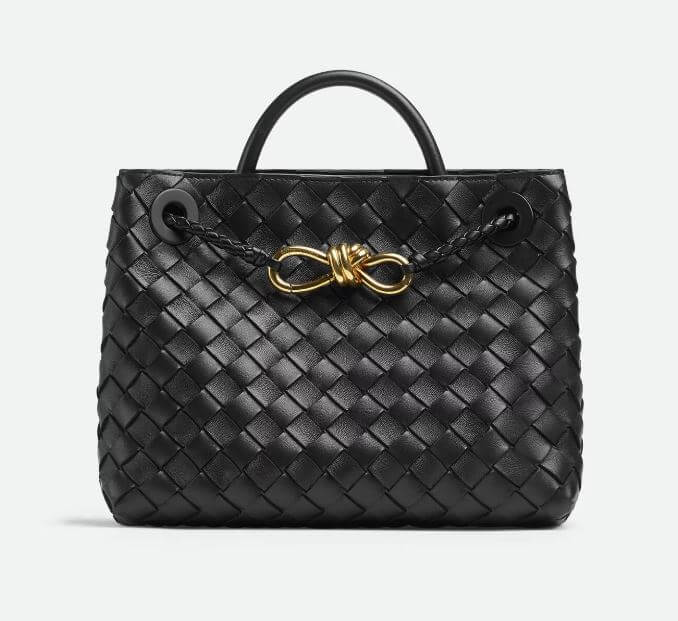 보테가 베네타 안디아모 스몰