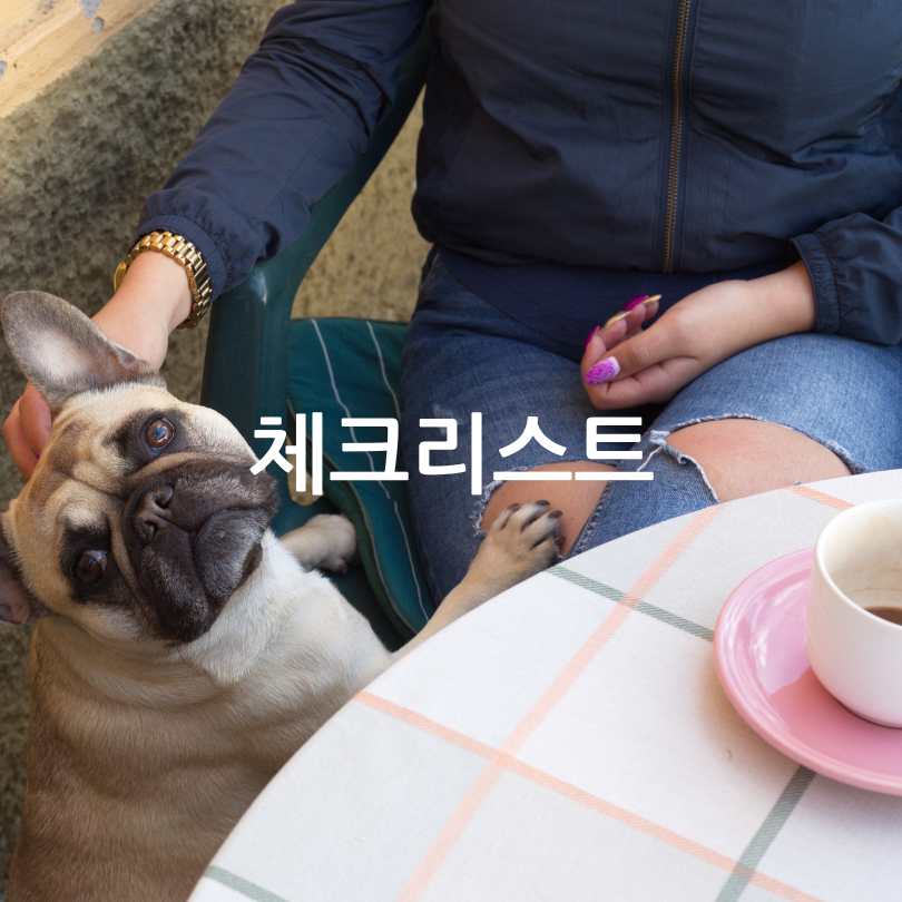 반려견 동반 스타벅스&#44; 멍푸치노