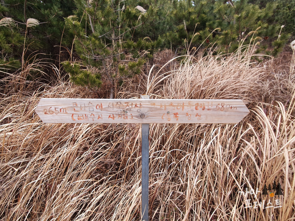 큰사슴이오름 경로