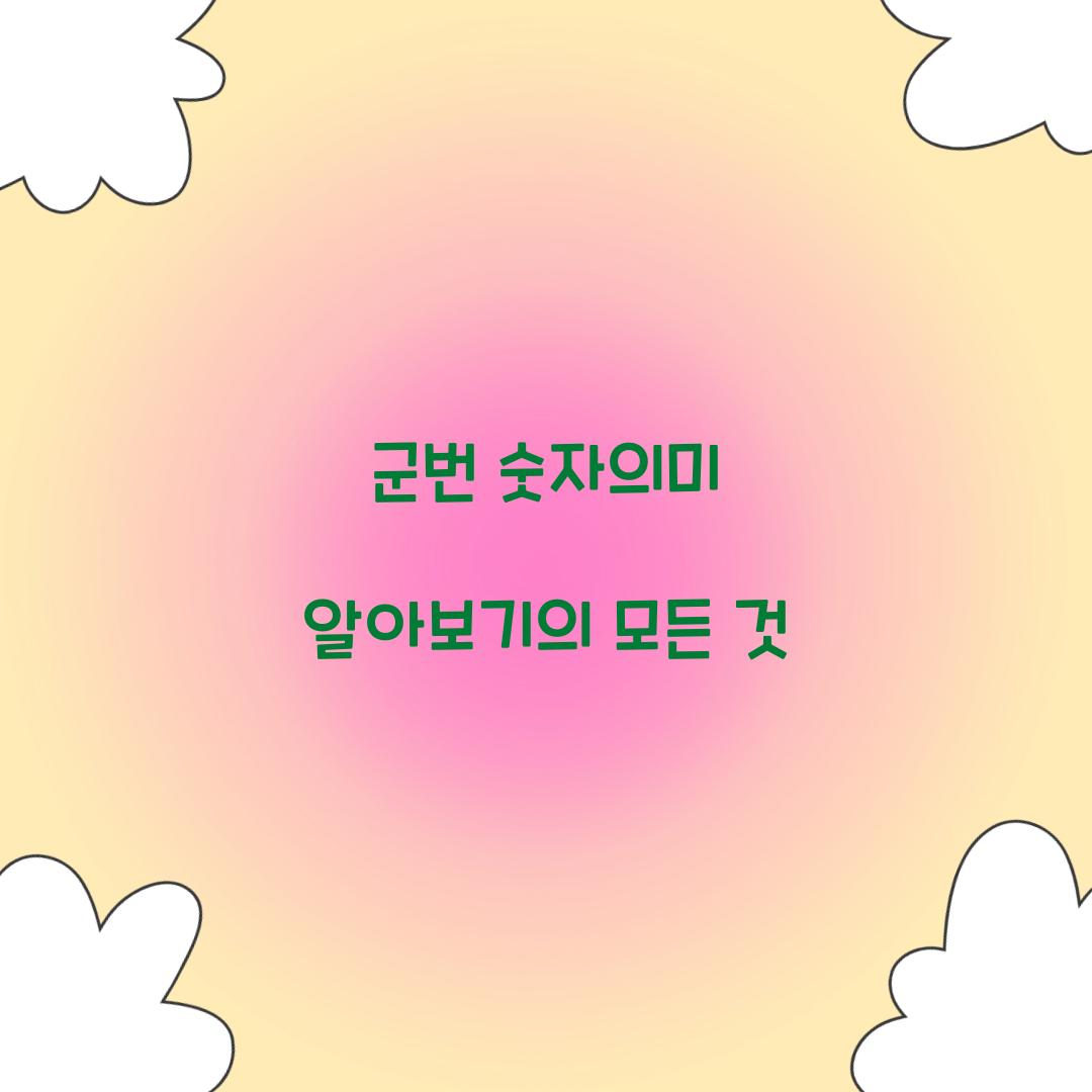 군번 숫자의미