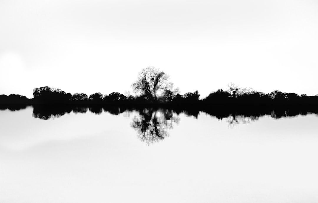 'Reflection'