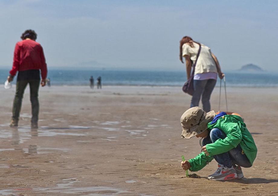 충남 태안 – 신두리 해안사구 + 해변 놀이터