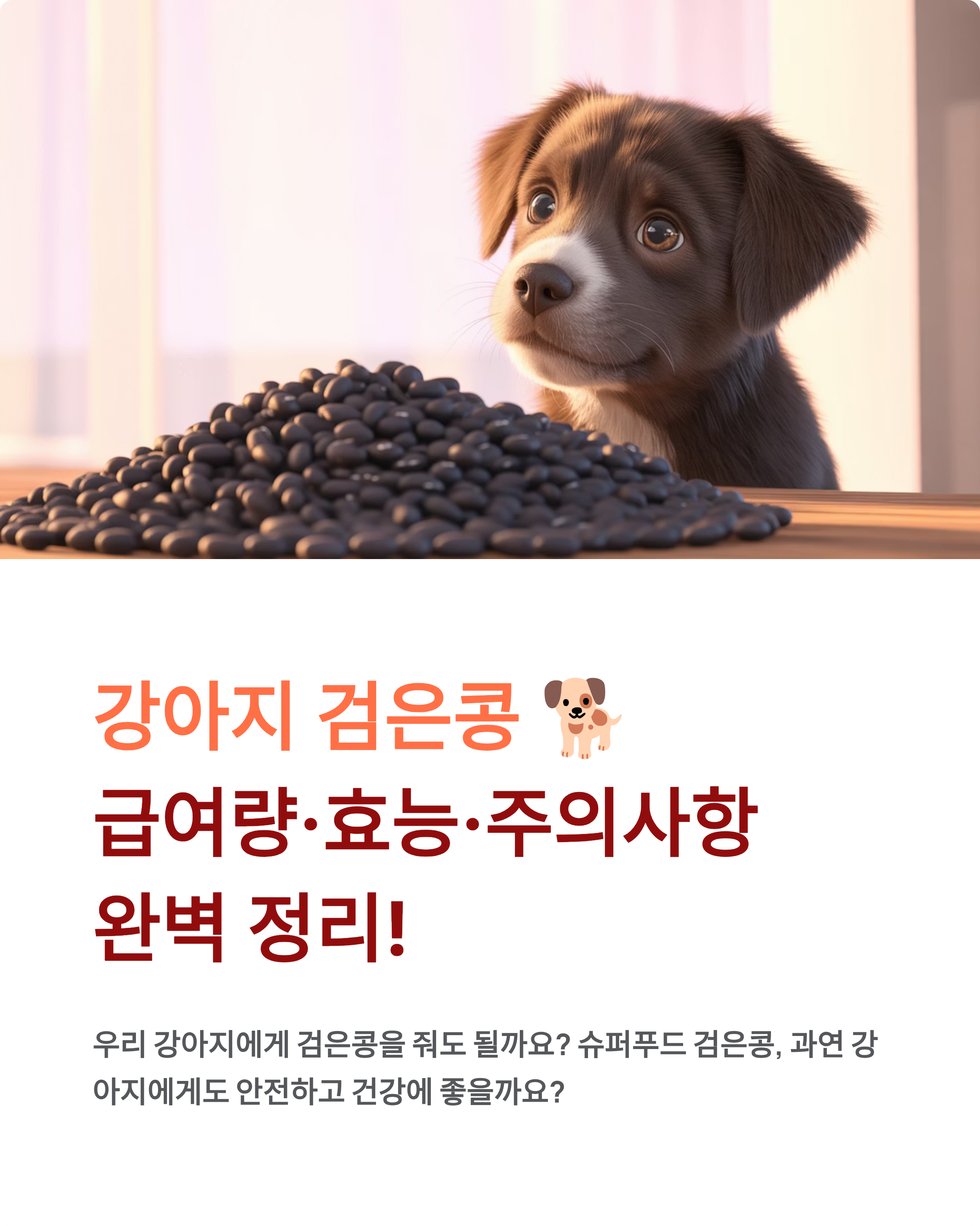 강아지 검은콩 🐕 급여량·효능·주의사항 완벽 정리!