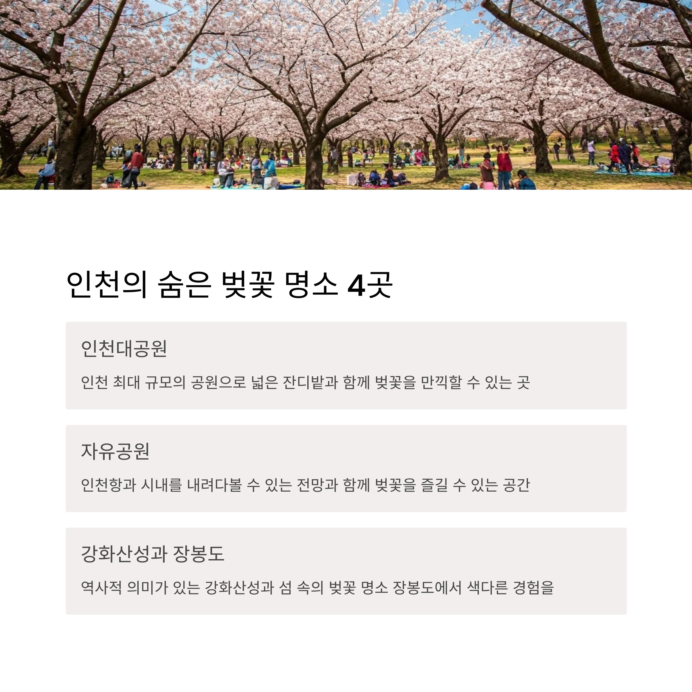 서울인천벚꽃