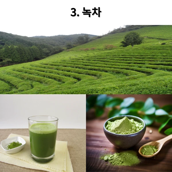 세계 10대 푸드_3.녹차