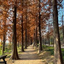 서울 가을단풍 명소 베스트 가을여행 추천