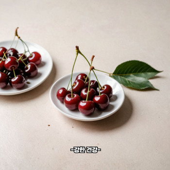 통풍에 좋은음식과 나쁜음식