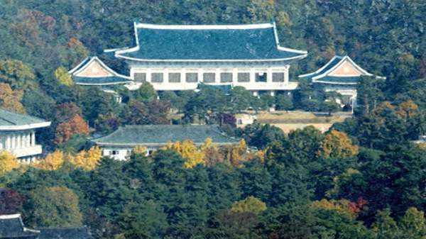 청와대 프로젝트 프리덤 참여 검토 종료 발표, 호르무즈 해협 해양자유구상 협력 및 나무호 화재 사건 심층 분석