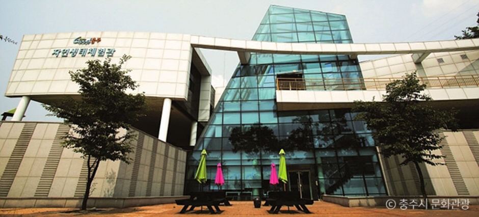 충주 가볼만한곳 베스트10