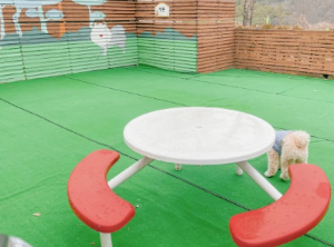 반려견과 함께하는 전국휴게소