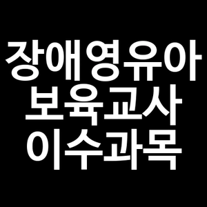 장애영유아 보육교사 이수과목