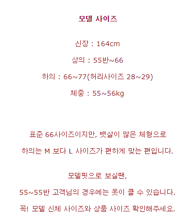 '더애수' 피팅모델 정보