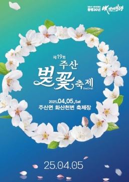 보령 벚꽃