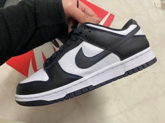 나이키 덩크로우