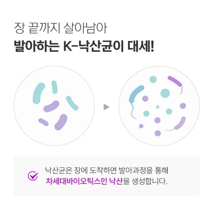 뉴티365 뉴티락 내돈내산 후기 효능 성분 부작용 가격 복용법