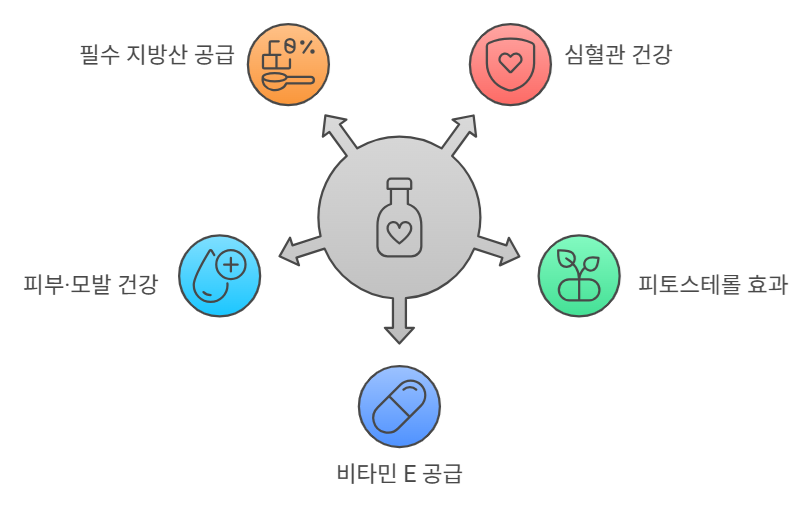 옥수수유 효능