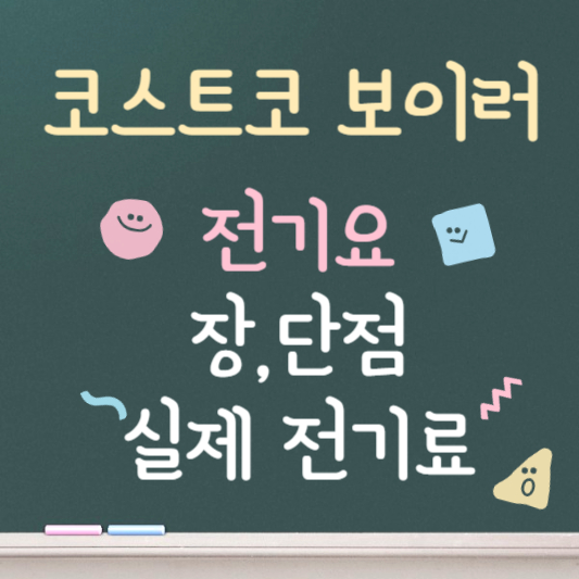 코스트코 보이러 전기요 후기