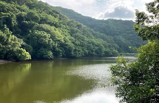 주산지