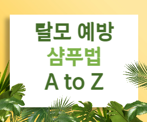 탈모 걱정 끝! 탈모 예방 샴푸법 A to Z
