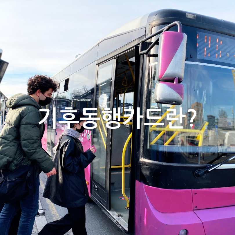 K패스 vs 기후동행카드 비교