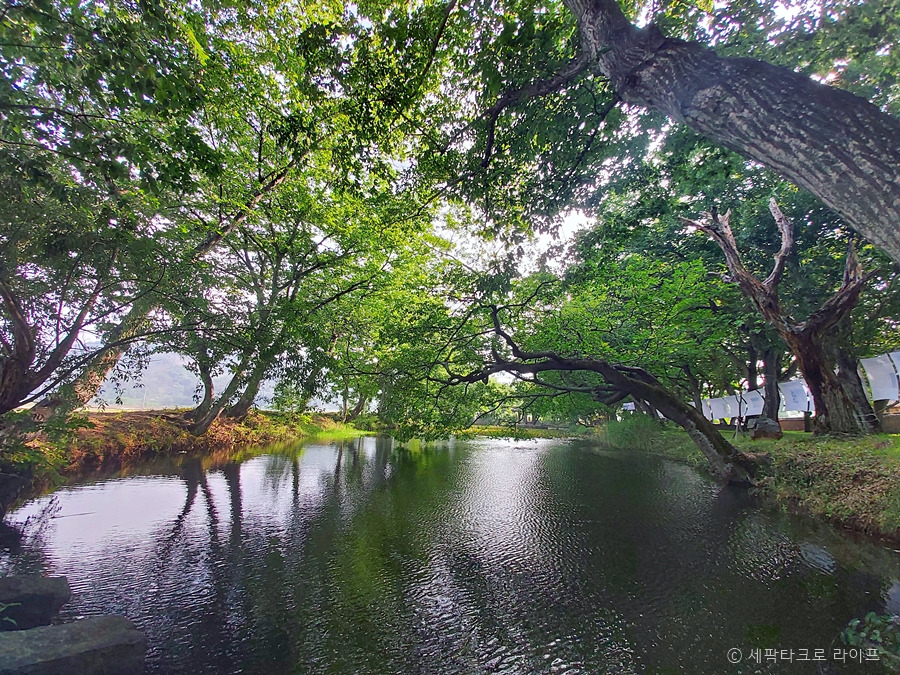 장산숲