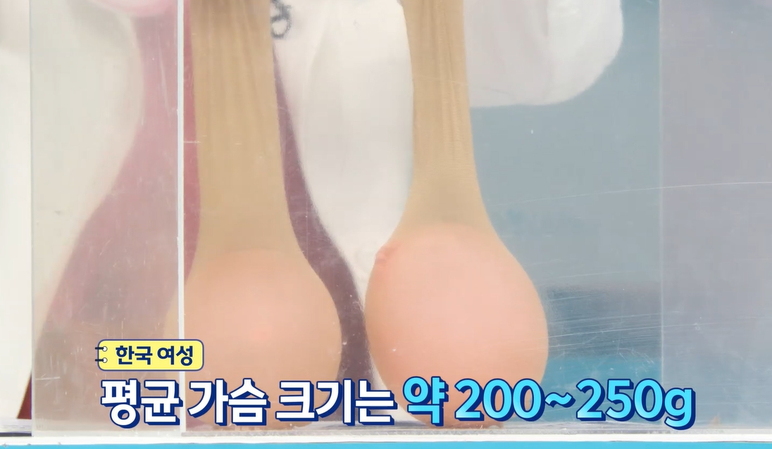 엘라스틴 효능
