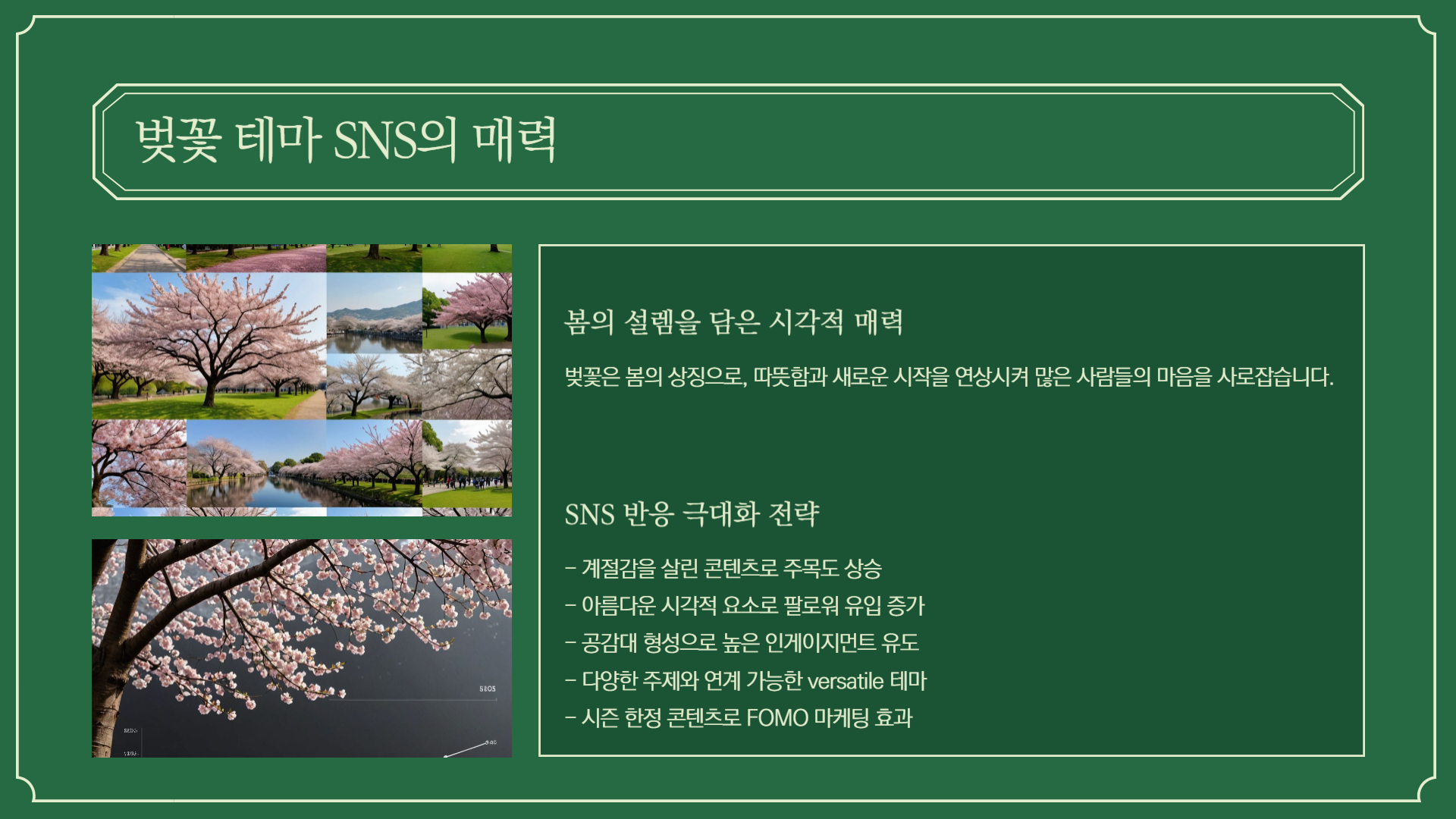 벚꽃 테마로 꾸미는 SNS 포스팅 아이디어