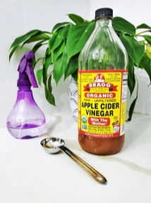 천연 소파 냄새 탈취제 백시초 알코올 올리브오일