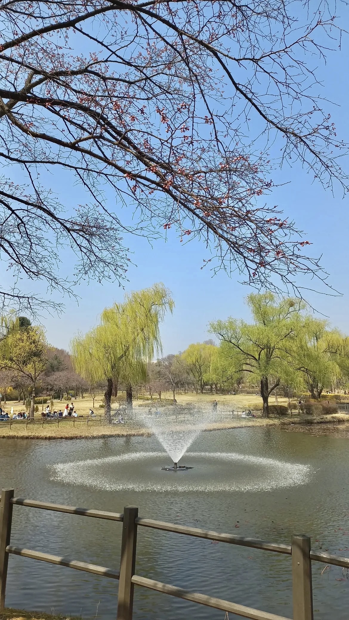 용산가족공원 K-맨발걷기 페스티벌 주차장 완벽 정리 관련사진