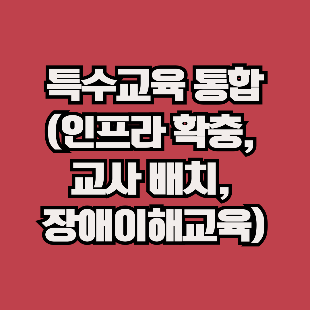 특수교육 통합 (인프라 확충, 교사 배치, 장애이해교육)