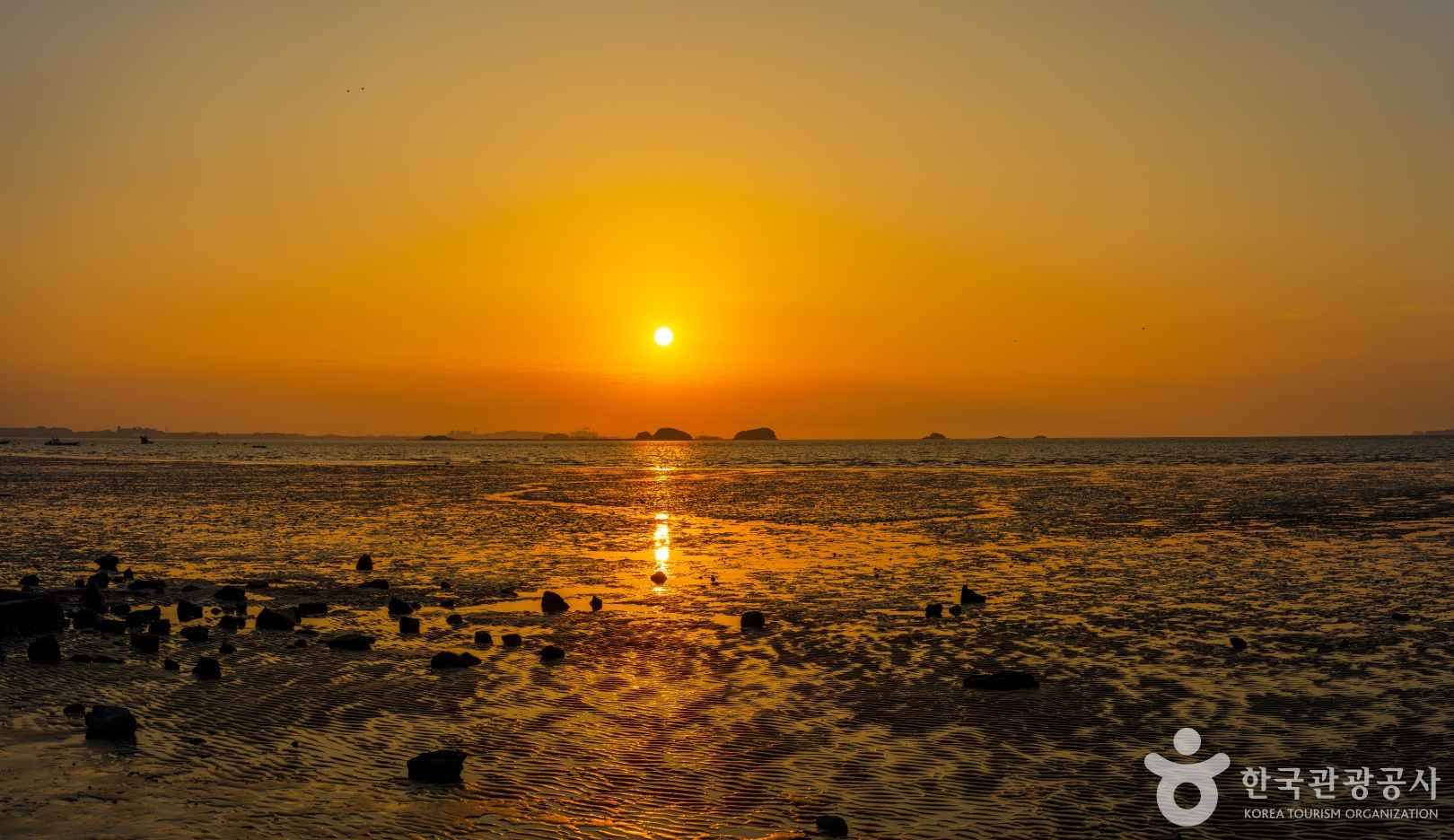 장항송림산림욕장