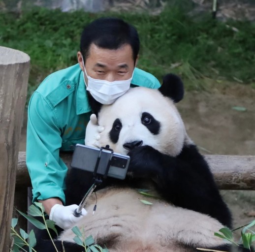 푸바오와 할부지